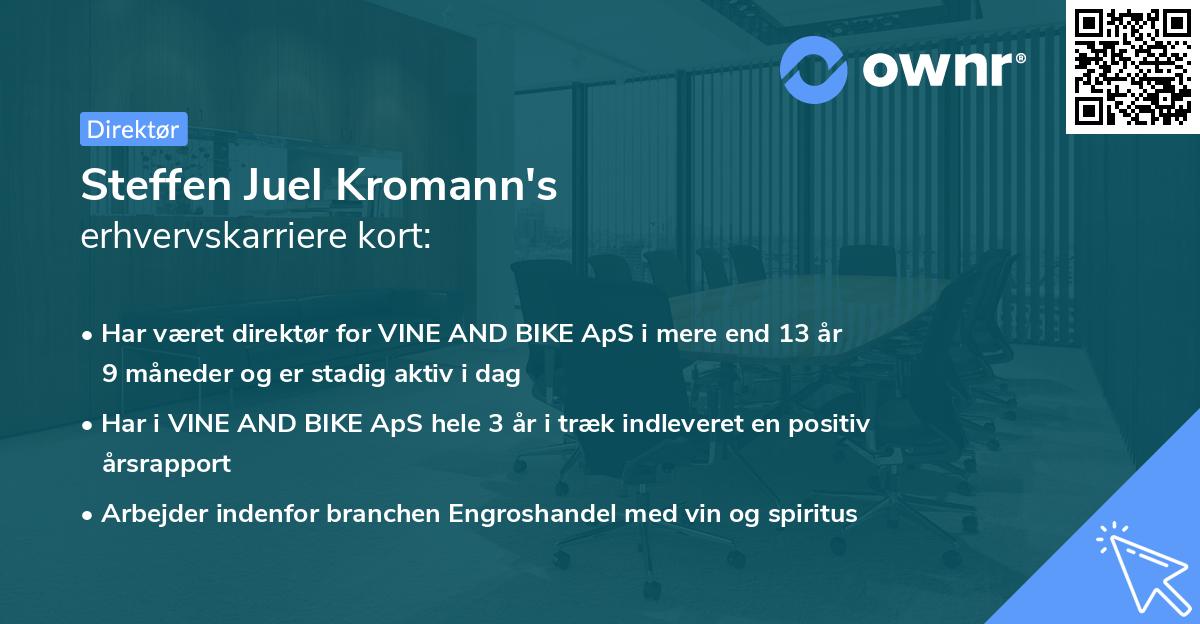 Steffen Juel Kromann's erhvervskarriere kort