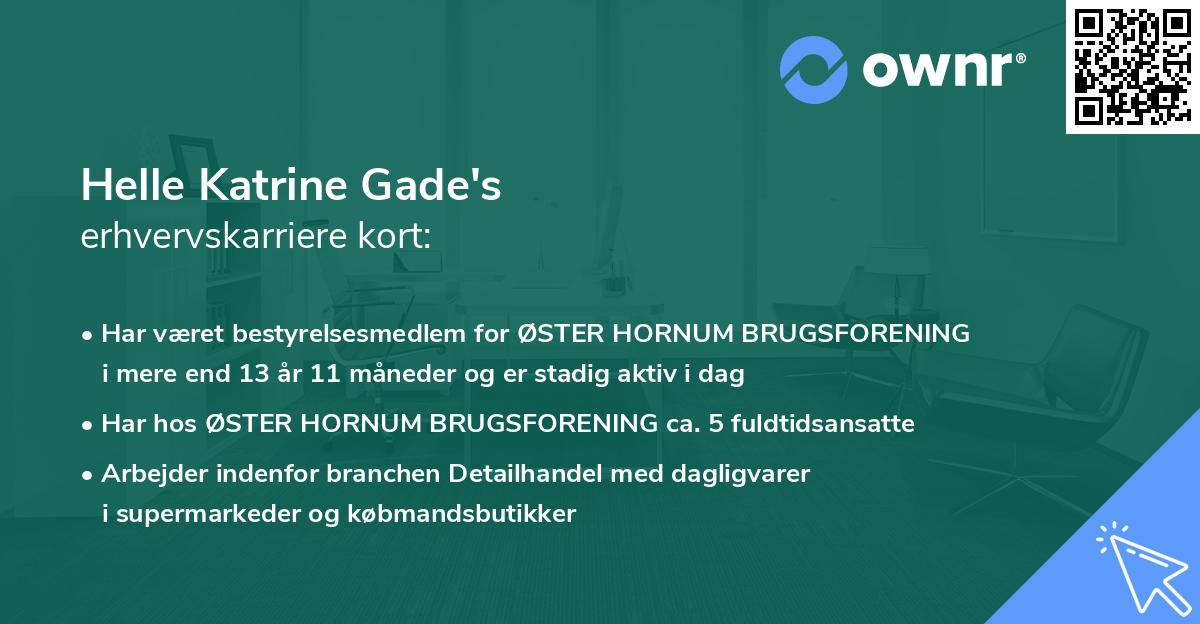 Helle Katrine Gade's erhvervskarriere kort