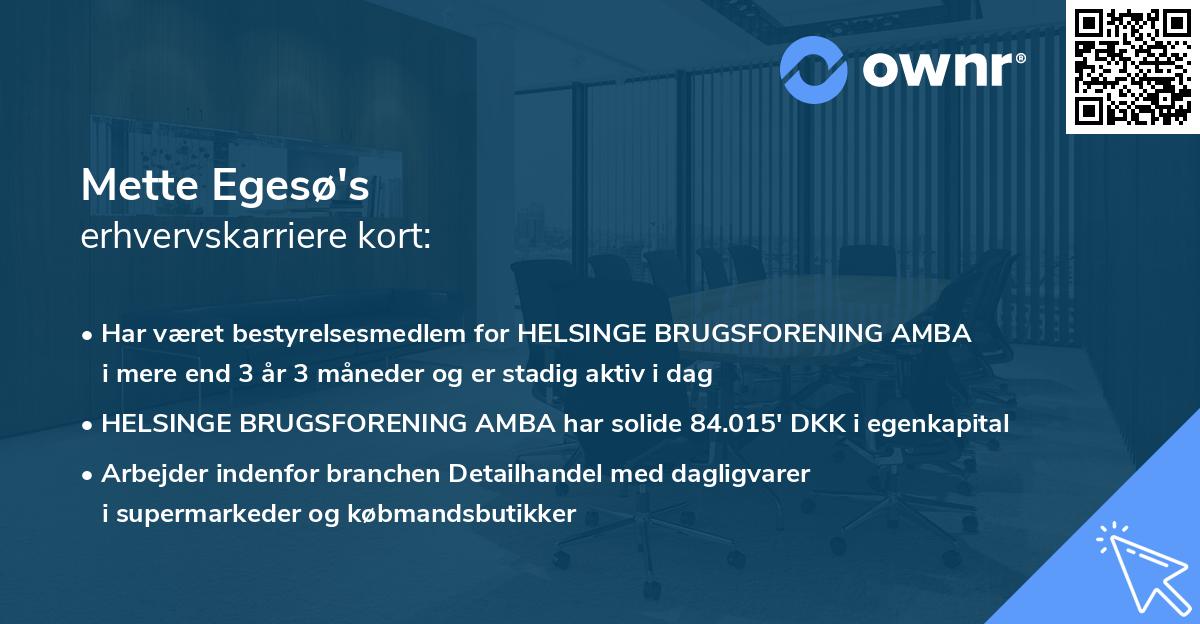 Mette Egesø's erhvervskarriere kort