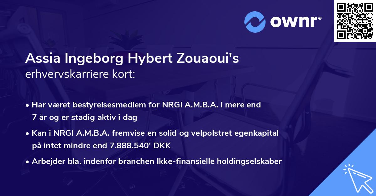 Assia Ingeborg Hybert Zouaoui's erhvervskarriere kort