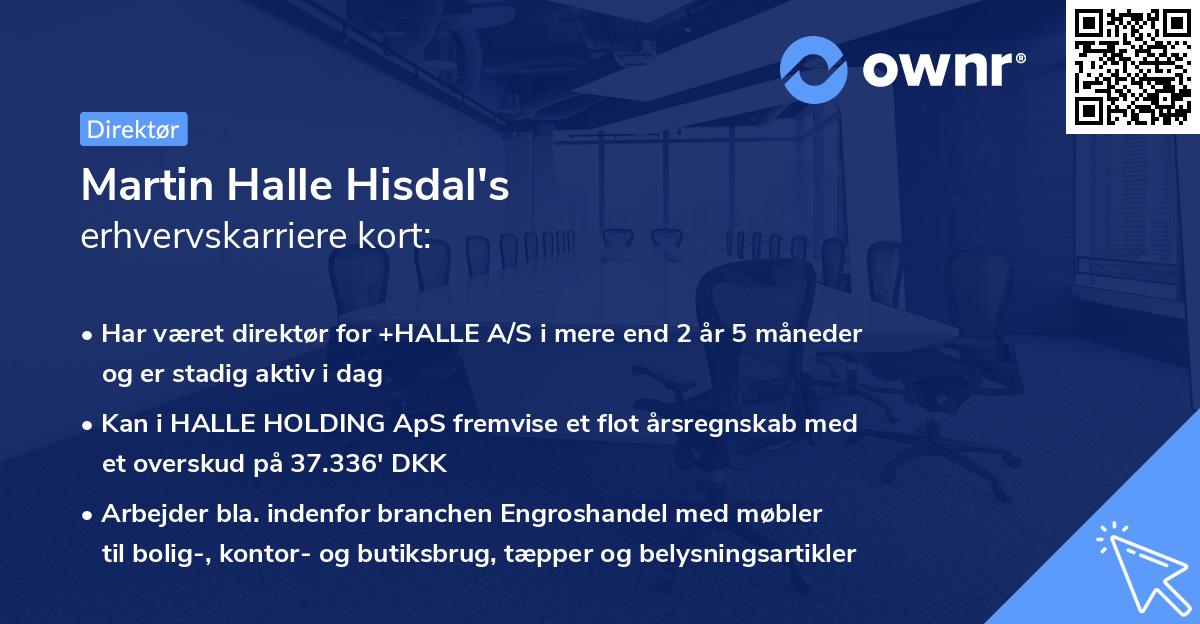 Martin Halle Hisdal's erhvervskarriere kort
