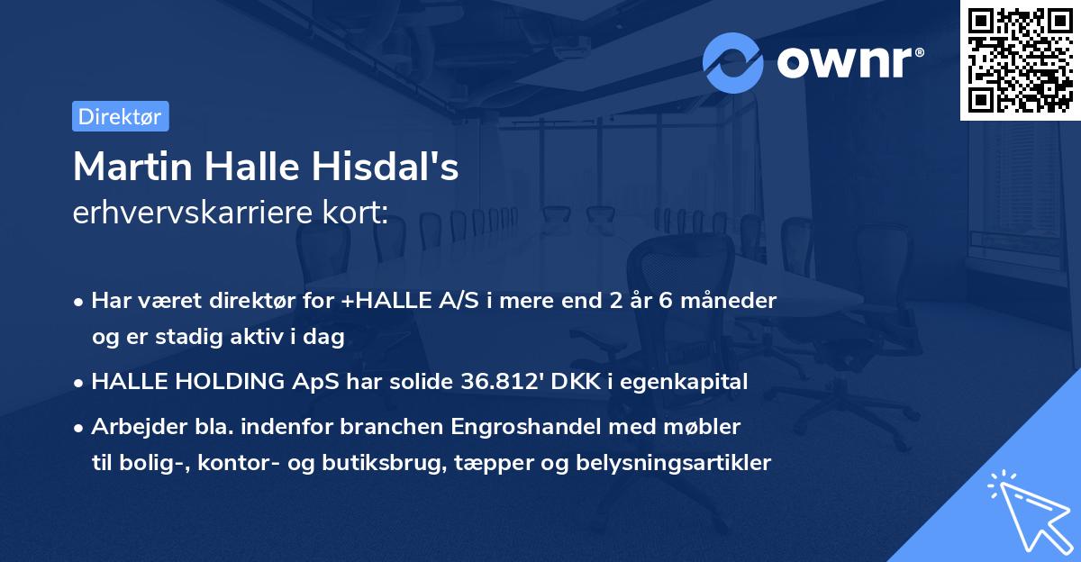 Martin Halle Hisdal's erhvervskarriere kort