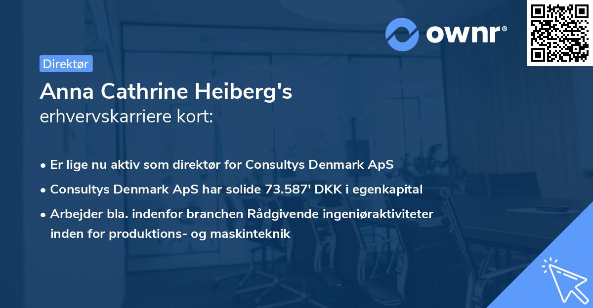 Anna Cathrine Heiberg's erhvervskarriere kort
