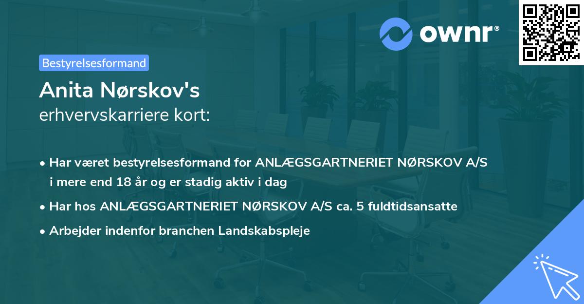 Anita Nørskov's erhvervskarriere kort