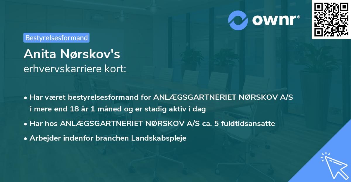 Anita Nørskov's erhvervskarriere kort