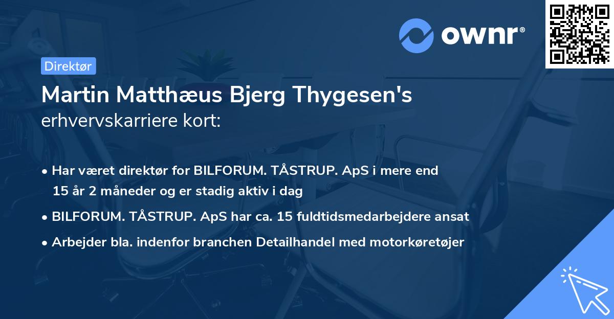 Martin Matthæus Bjerg Thygesen's erhvervskarriere kort