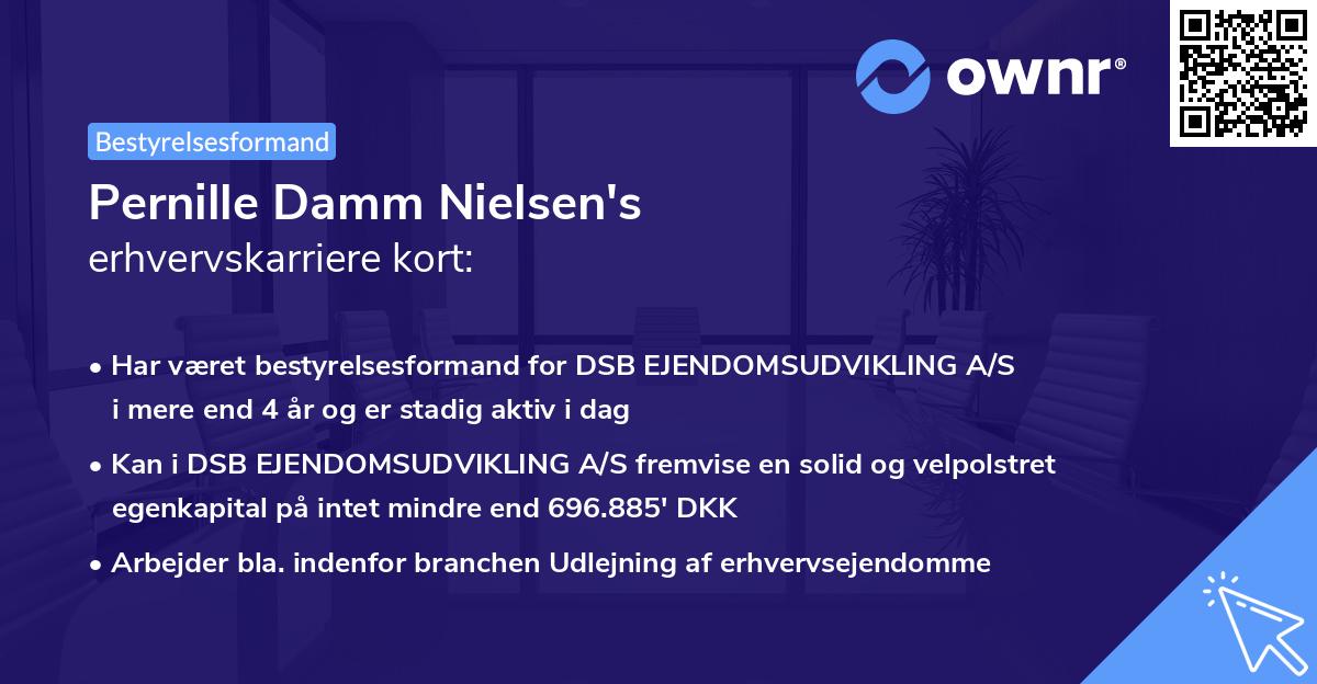 Pernille Damm Nielsen's erhvervskarriere kort