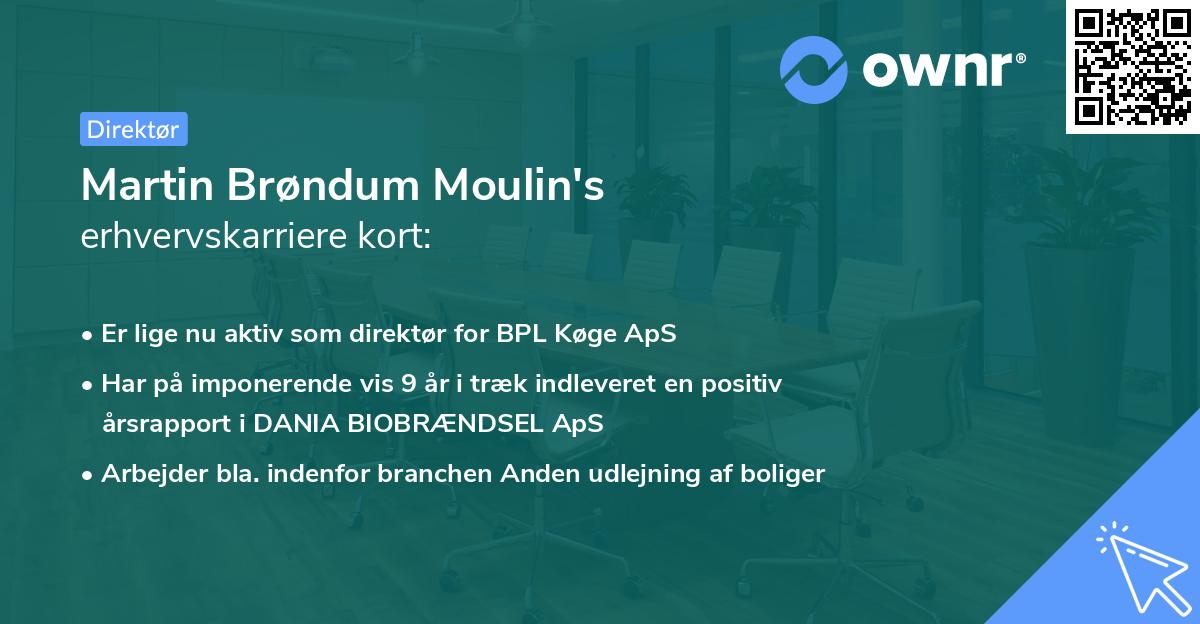 Martin Brøndum Moulin's erhvervskarriere kort