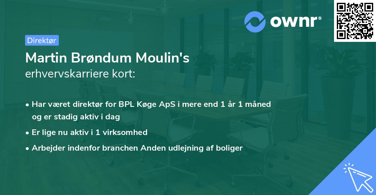 Martin Brøndum Moulin's erhvervskarriere kort