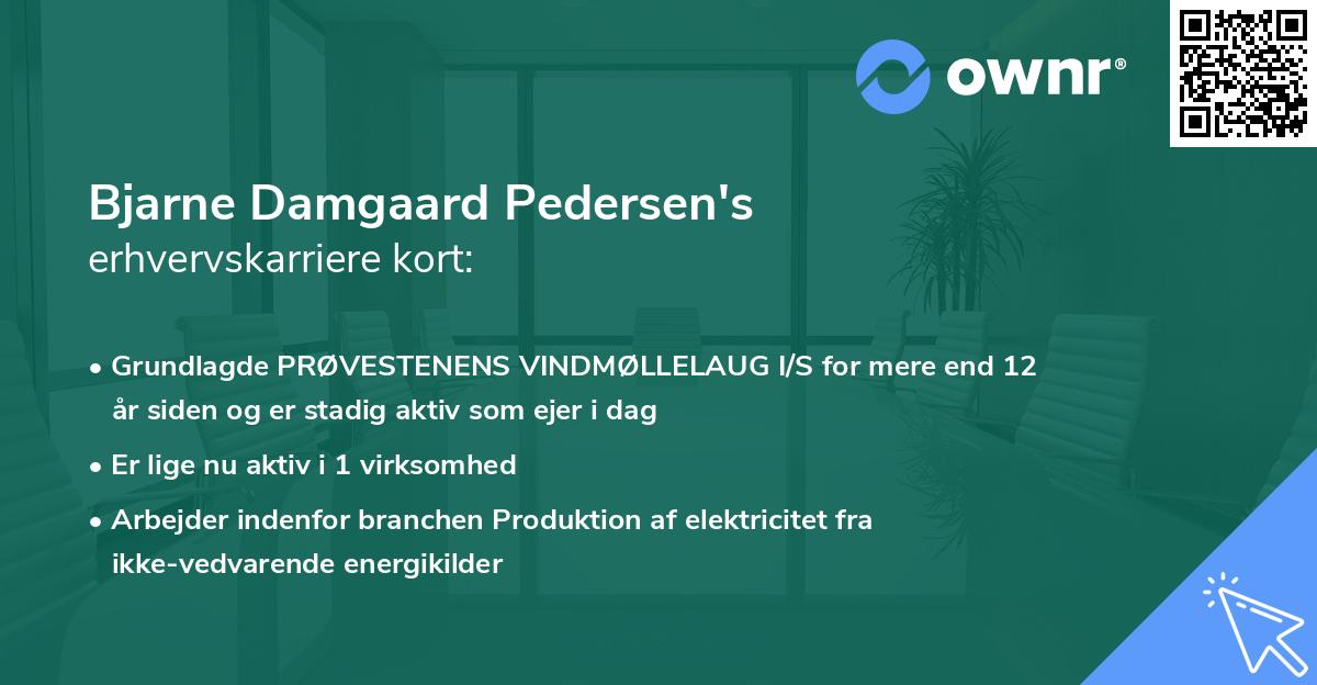 Bjarne Damgaard Pedersen's erhvervskarriere kort