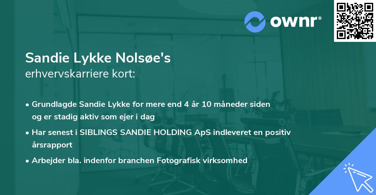 Sandie Lykke Nolsøe's erhvervskarriere kort