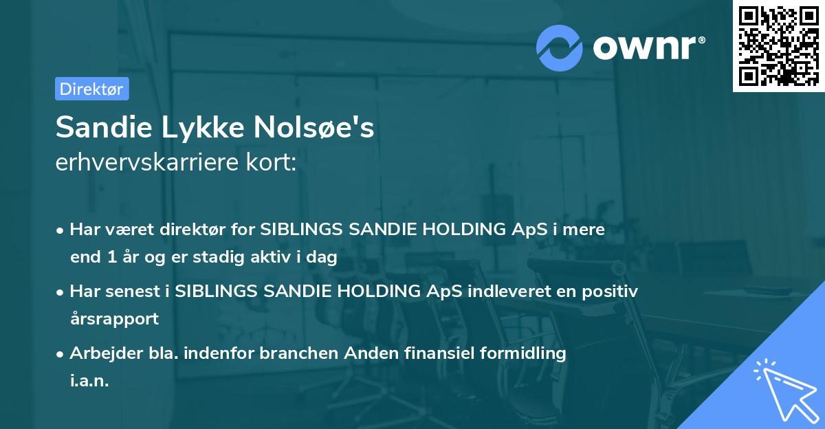 Sandie Lykke Nolsøe's erhvervskarriere kort