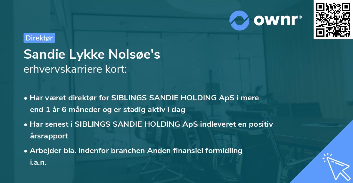 Sandie Lykke Nolsøe's erhvervskarriere kort