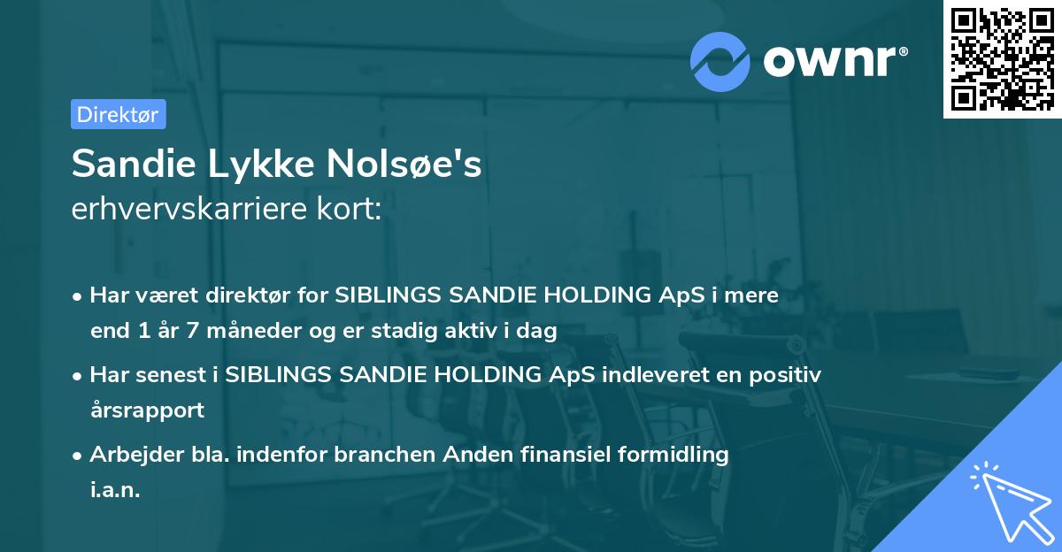 Sandie Lykke Nolsøe's erhvervskarriere kort