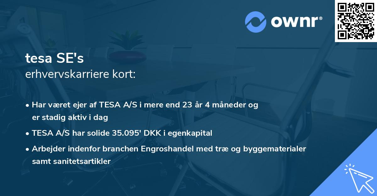 tesa SE's erhvervskarriere kort
