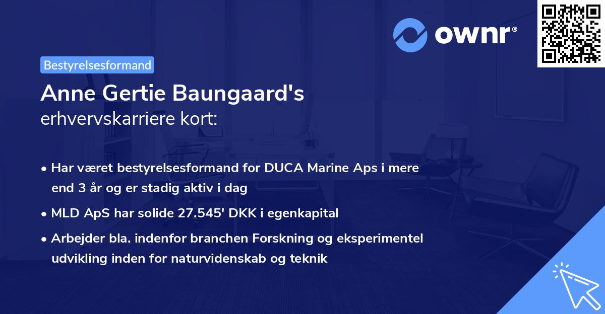 Anne Gertie Baungaard's erhvervskarriere kort