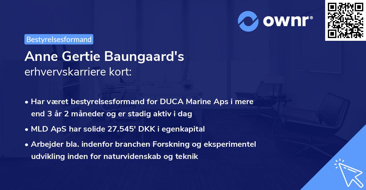 Anne Gertie Baungaard's erhvervskarriere kort