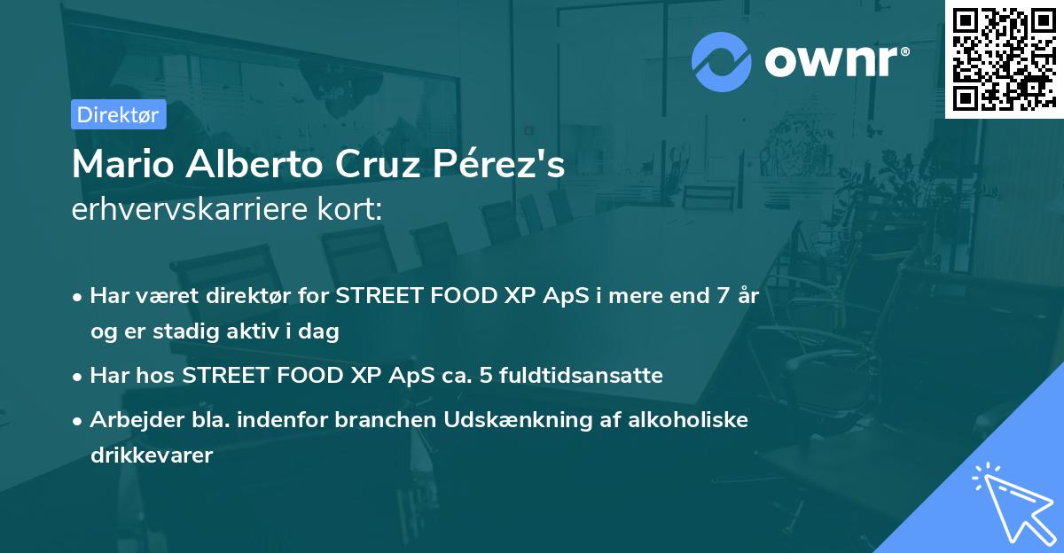 Mario Alberto Cruz Pérez's erhvervskarriere kort
