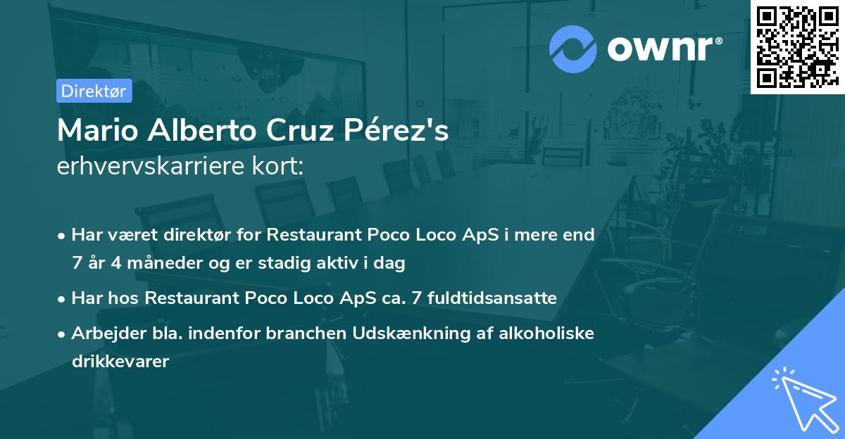 Mario Alberto Cruz Pérez's erhvervskarriere kort