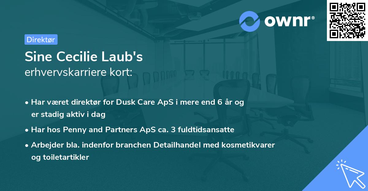 Sine Cecilie Laub's erhvervskarriere kort