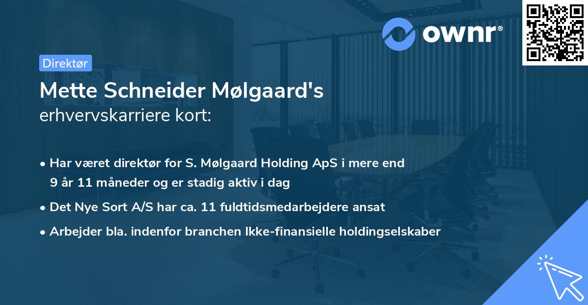 Mette Schneider Mølgaard's erhvervskarriere kort