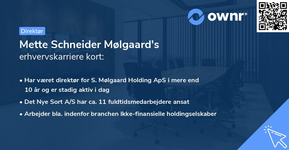 Mette Schneider Mølgaard's erhvervskarriere kort