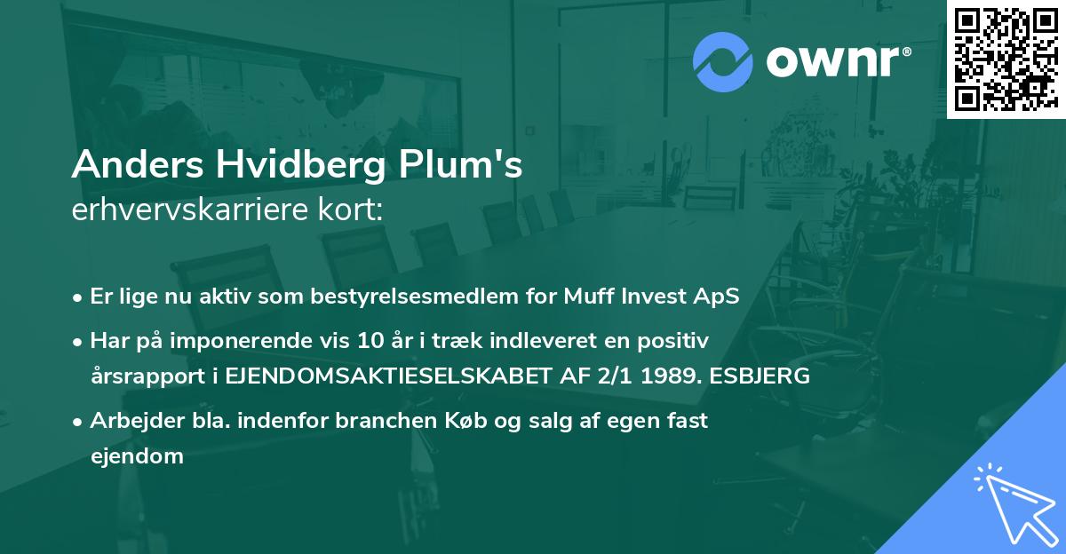 Anders Hvidberg Plum's erhvervskarriere kort