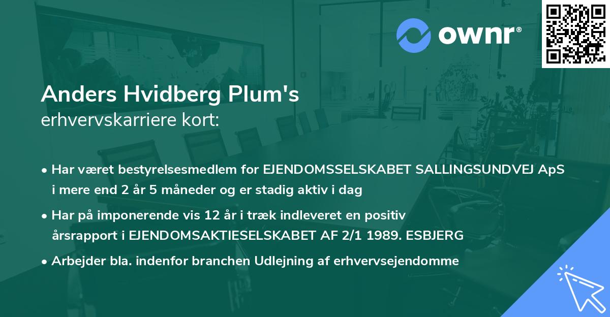 Anders Hvidberg Plum's erhvervskarriere kort