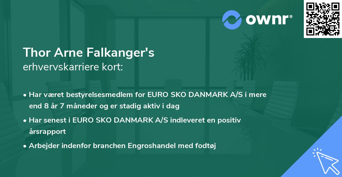 Thor Arne Falkanger's erhvervskarriere kort
