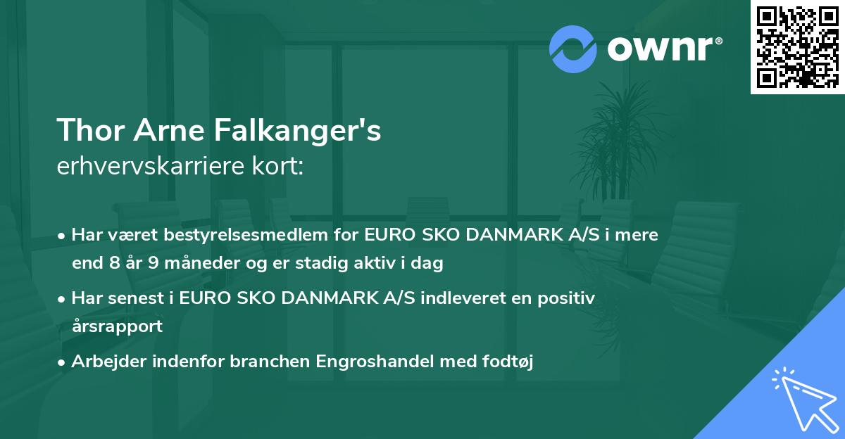 Thor Arne Falkanger's erhvervskarriere kort