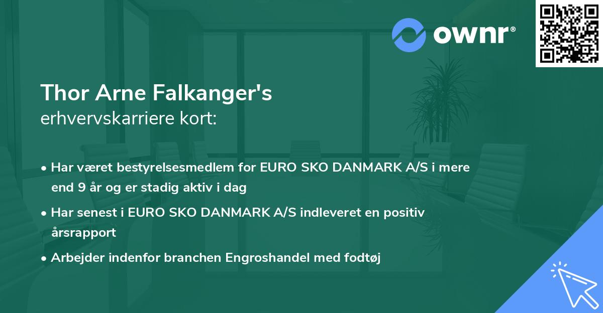 Thor Arne Falkanger's erhvervskarriere kort