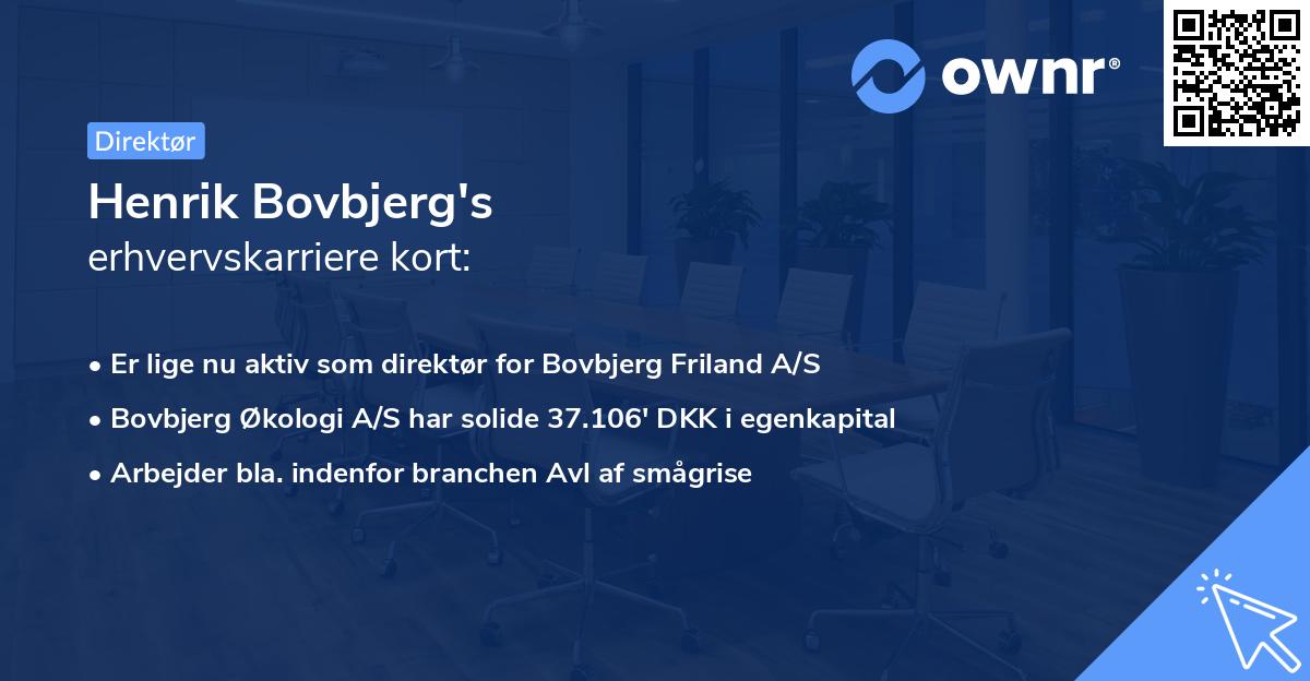 Henrik Bovbjerg's erhvervskarriere kort