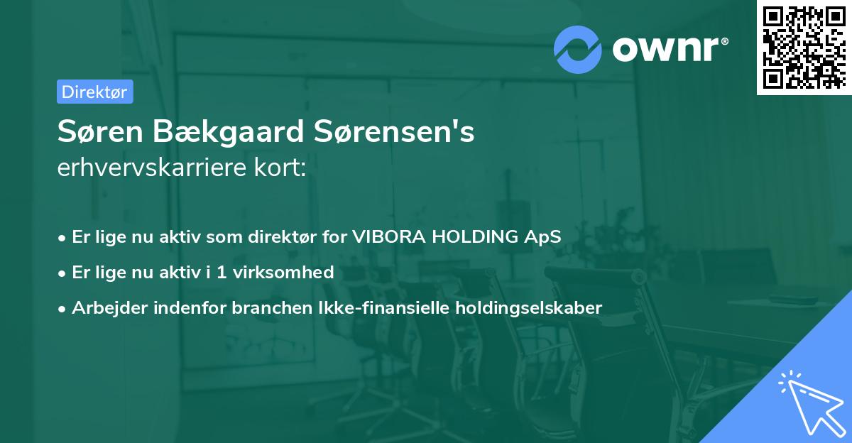 Søren Bækgaard Sørensen's erhvervskarriere kort