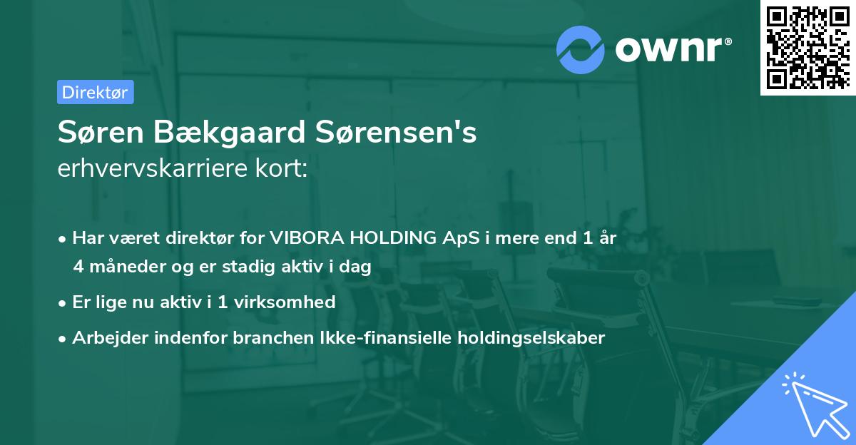 Søren Bækgaard Sørensen's erhvervskarriere kort