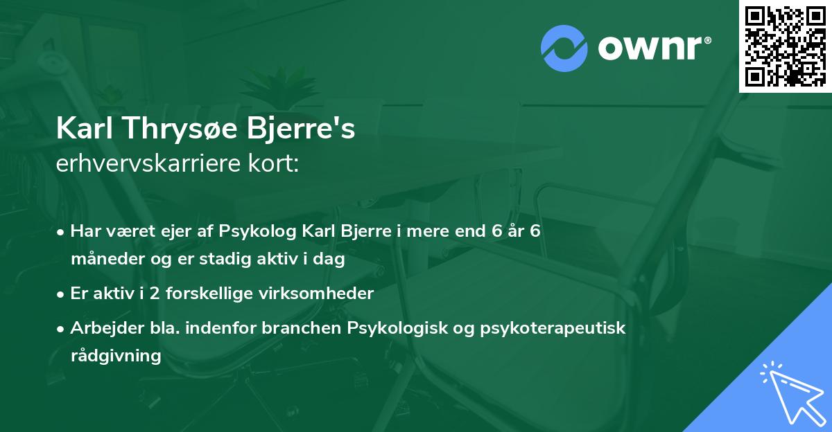 Karl Thrysøe Bjerre's erhvervskarriere kort
