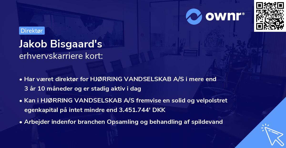 Jakob Bisgaard's erhvervskarriere kort