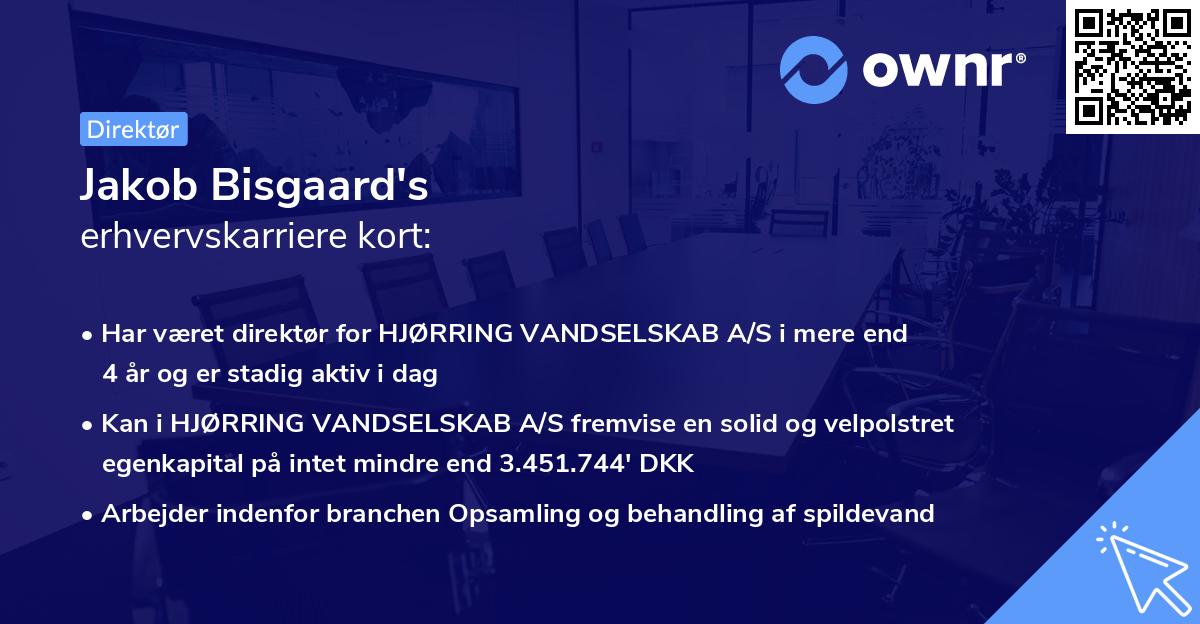 Jakob Bisgaard's erhvervskarriere kort