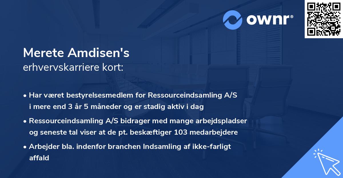 Merete Amdisen's erhvervskarriere kort