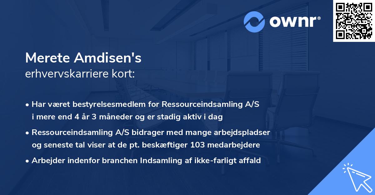 Merete Amdisen's erhvervskarriere kort