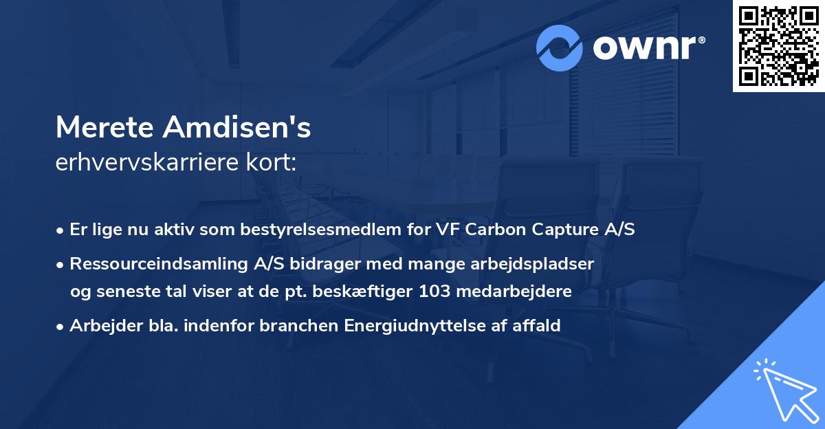 Merete Amdisen's erhvervskarriere kort