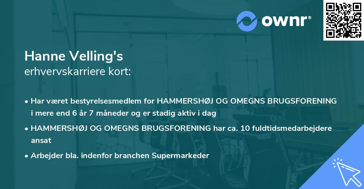 Hanne Velling's erhvervskarriere kort