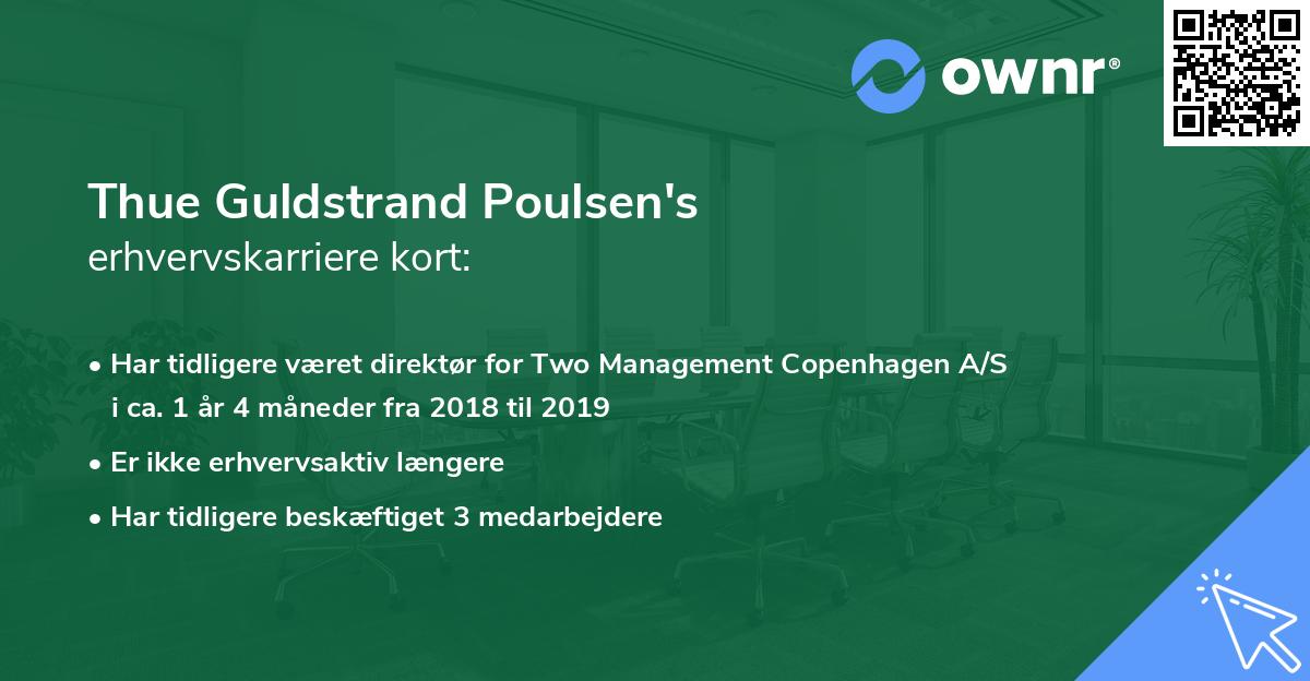 Thue Guldstrand Poulsen's erhvervskarriere kort