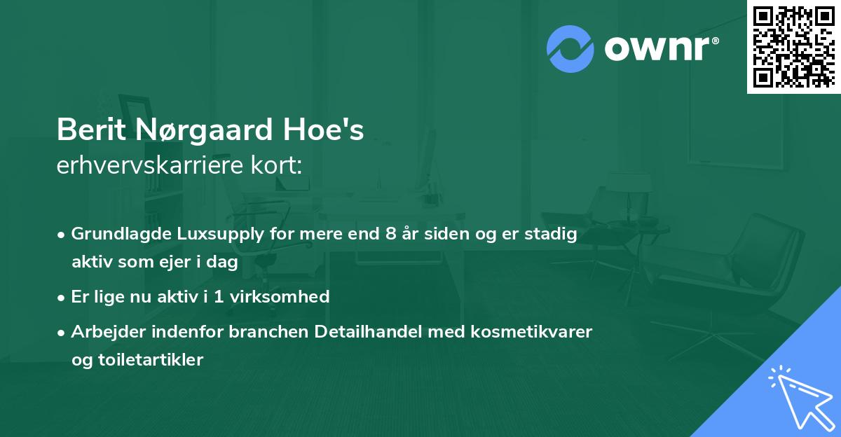 Berit Nørgaard Hoe's erhvervskarriere kort