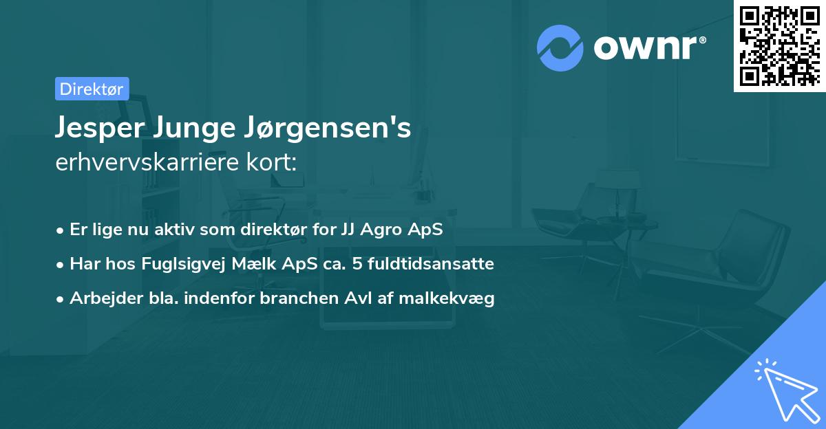 Jesper Junge Jørgensen's erhvervskarriere kort