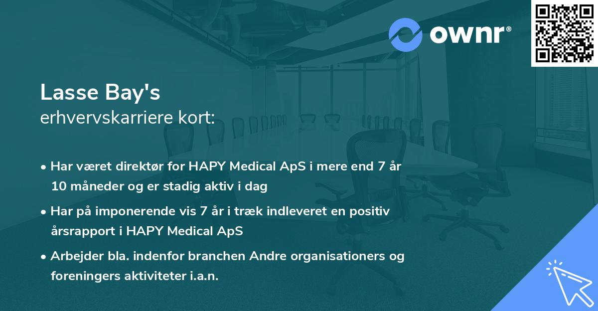 Lasse Bay's erhvervskarriere kort