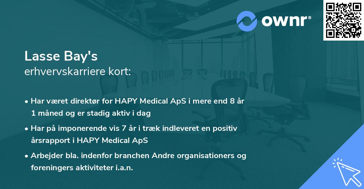 Lasse Bay's erhvervskarriere kort