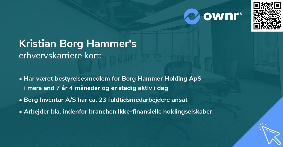Kristian Borg Hammer's erhvervskarriere kort