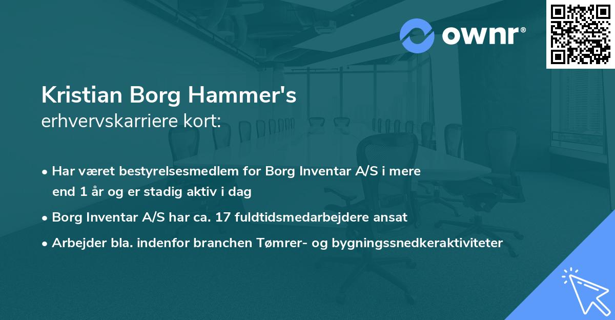 Kristian Borg Hammer's erhvervskarriere kort
