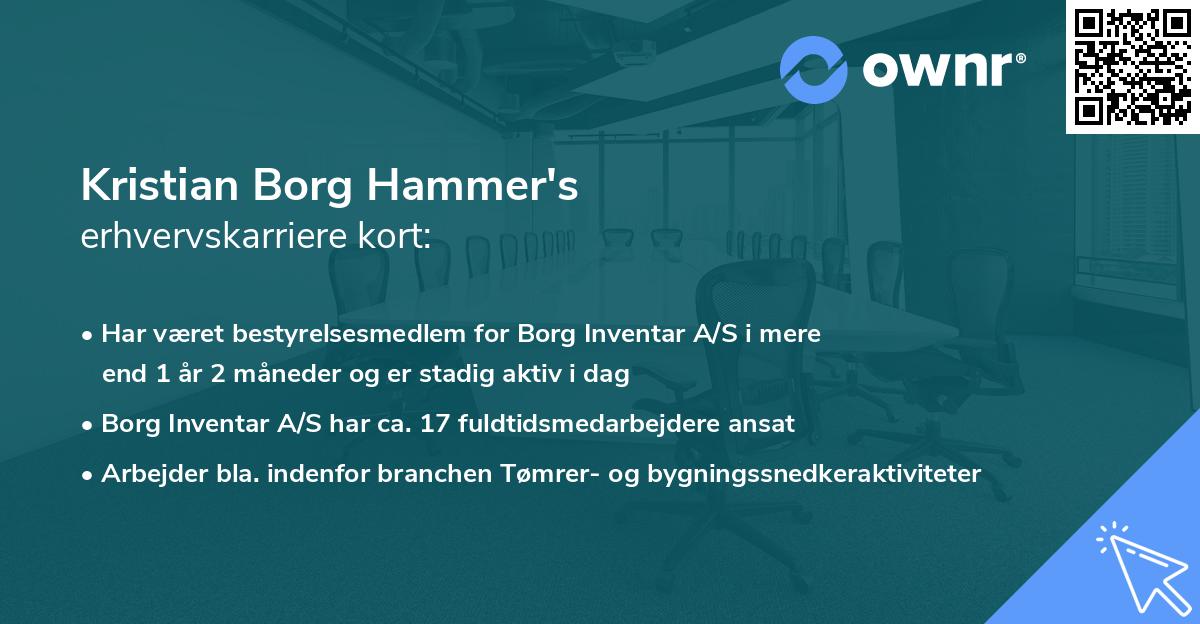 Kristian Borg Hammer's erhvervskarriere kort