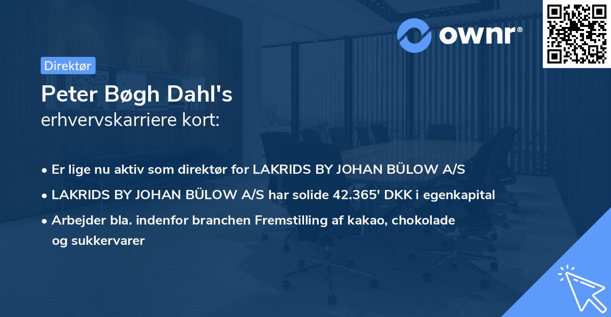 Peter Bøgh Dahl's erhvervskarriere kort
